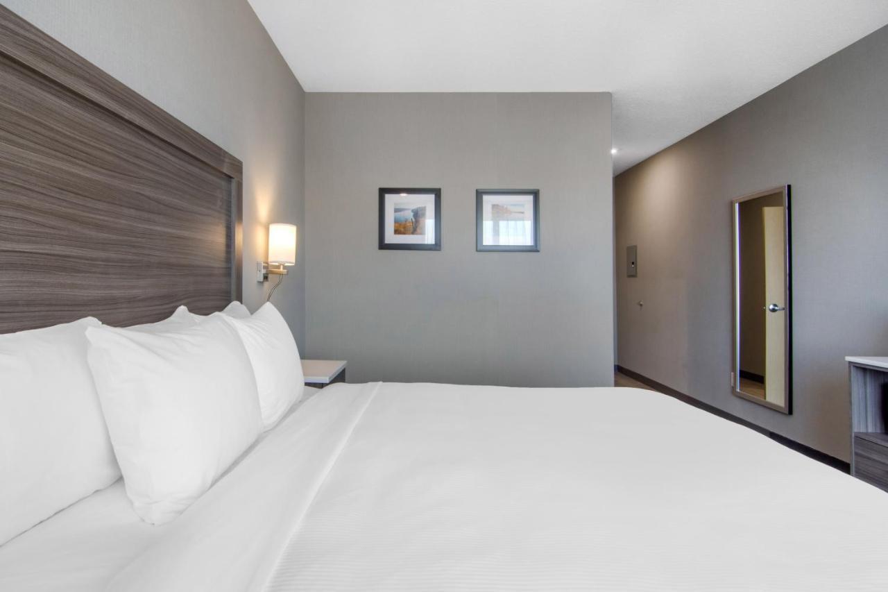 Comfort Inn & Suites North Battleford Exteriör bild
